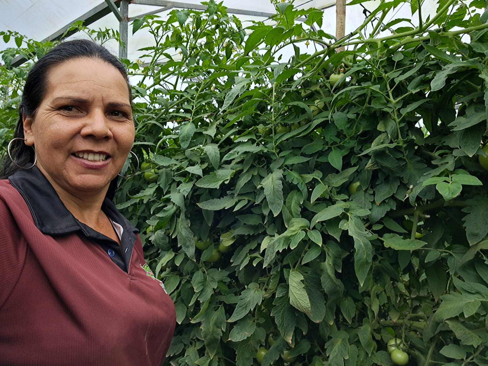 Cultivo en Turrialba
